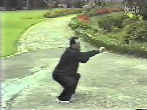 baguazhang spear