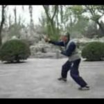 baguazhang spear