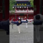 tai chi chuan