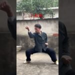 tai chi chuan