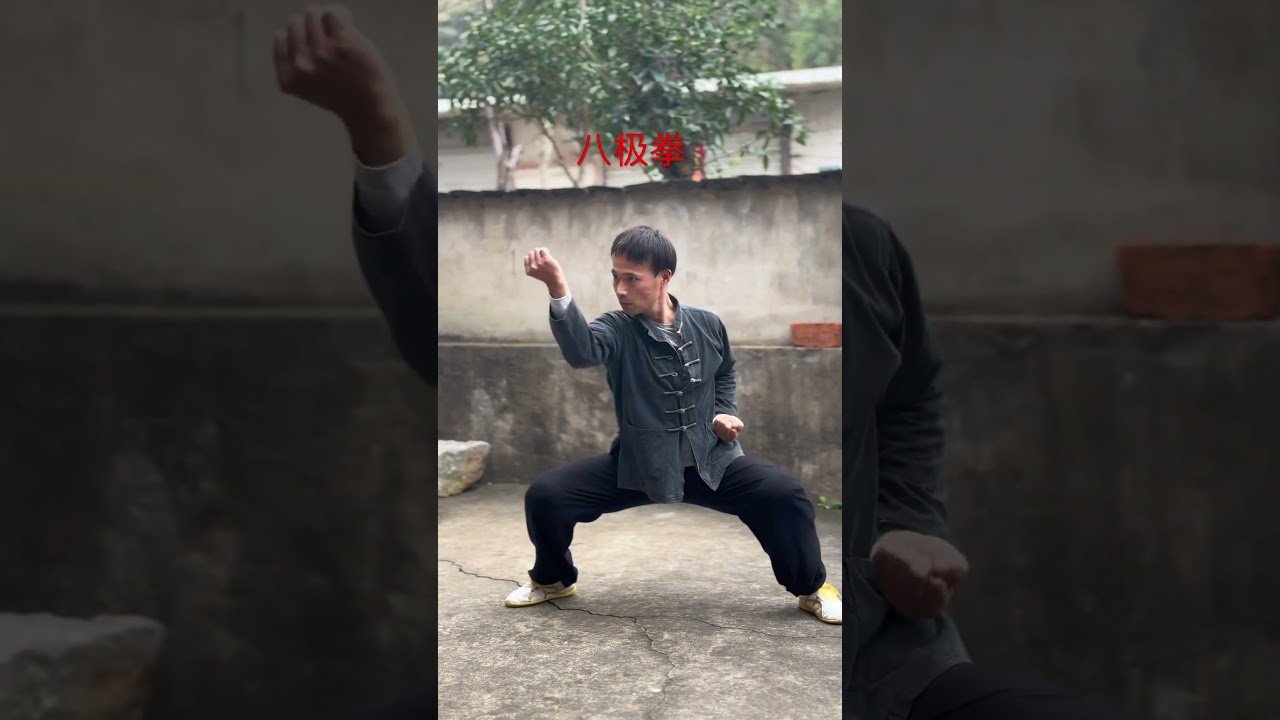 tai chi chuan