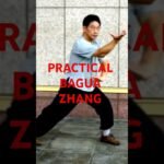 baguazhang