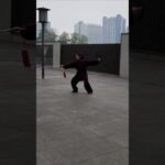 tai chi sword