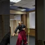 tai chi sword