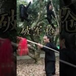 baguazhang spear