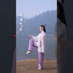 tai chi chuan