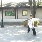 baguazhang dao