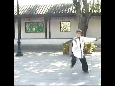 baguazhang dao