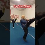 baguazhang dao