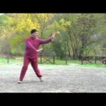 baguazhang dao