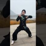 tai chi chuan