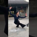 tai chi chuan