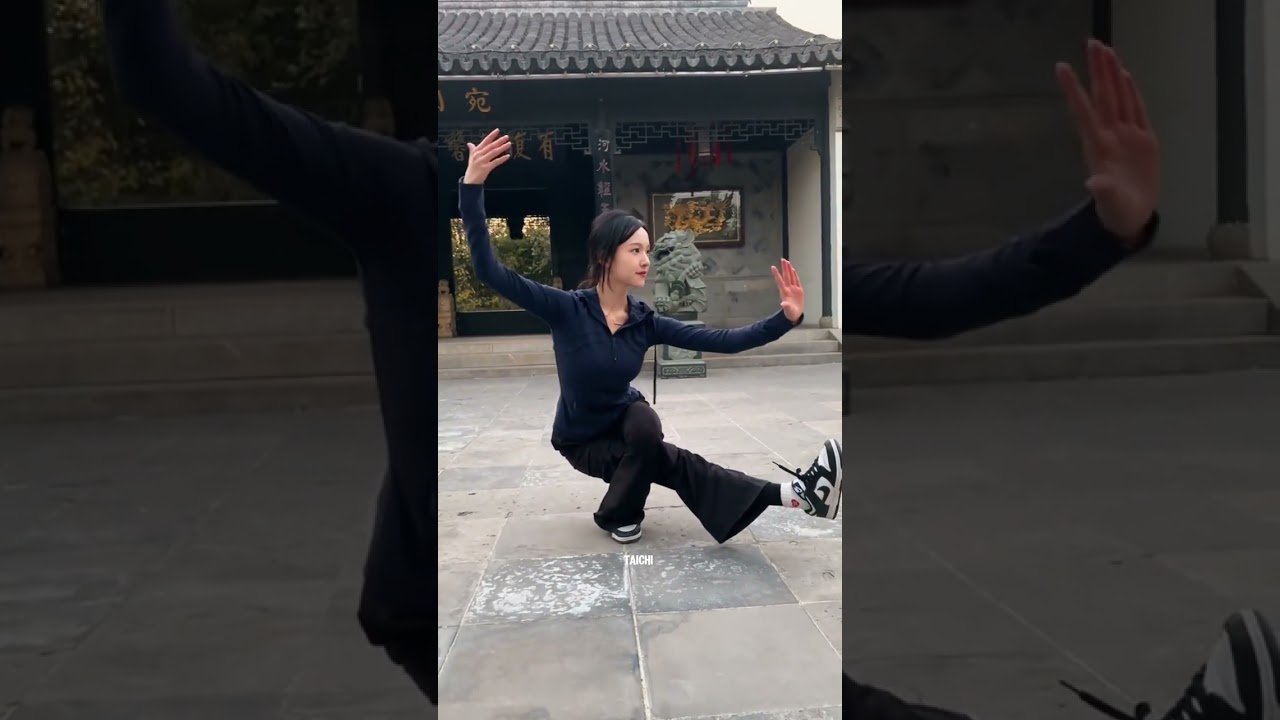 tai chi chuan