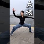 tai chi chuan