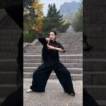 tai chi chuan