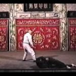 baguazhang spear