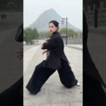 tai chi chuan