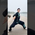 tai chi chuan