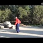 baguazhang spear