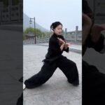 tai chi chuan