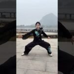 tai chi chuan