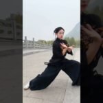 tai chi chuan