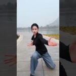 tai chi chuan