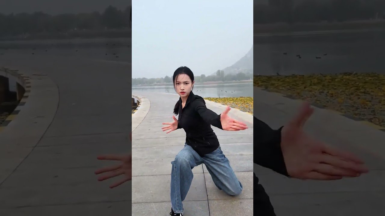 tai chi chuan