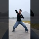 tai chi chuan