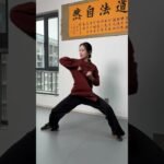 tai chi chuan