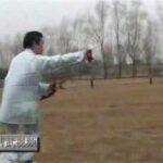 baguazhang dao