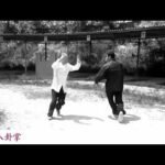 baguazhang spear