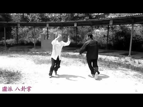 baguazhang spear