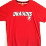 dragon t-shirt