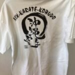 karate t-shirt