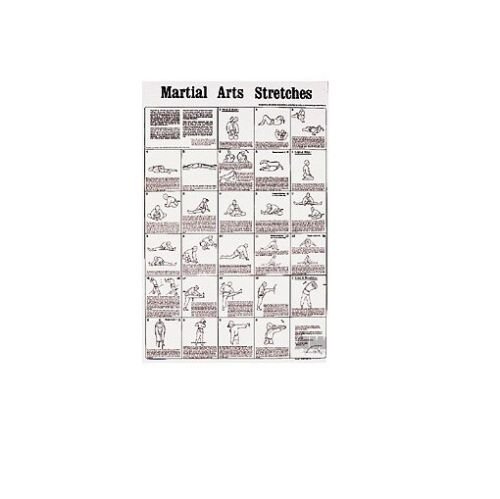 martial arts poster