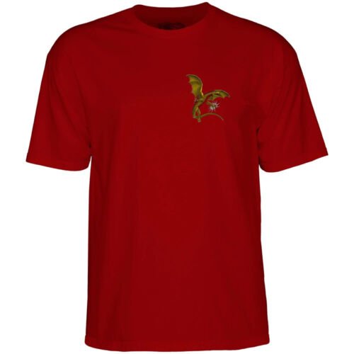 dragon t-shirt