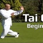 tai chi chuan