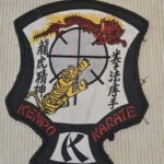 kung fu uniform