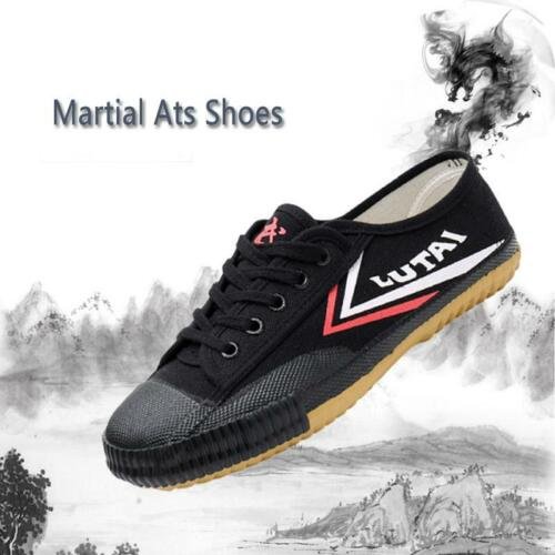 kung fu shoes