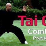 tai chi chuan