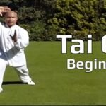 tai chi chuan