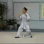 tai chi chuan